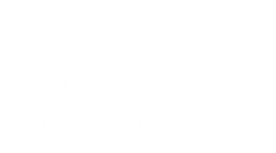 LSM Lee's Sheet Metal logo
