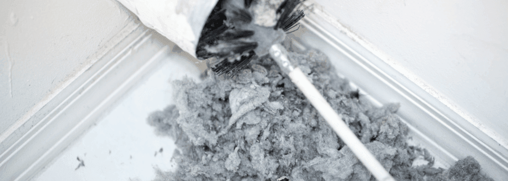 Pests in Your Furnace Vents