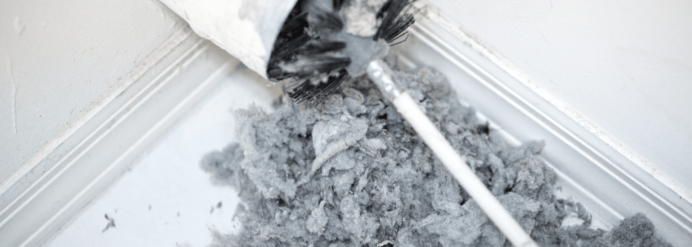 Pests in Your Furnace Vents