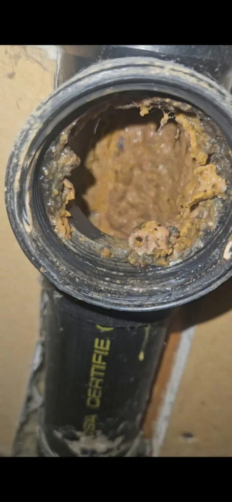 Interior of a drain pipe heavily coated with buildup before flex shaft cleaning